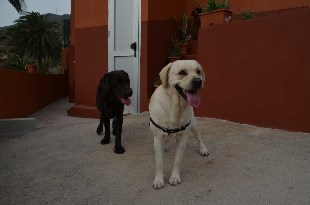 Casa Camilo Guest House บาแญร์โมโซ ภายนอก รูปภาพ
